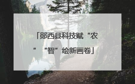 郧西县科技赋“农”“智”绘新画卷