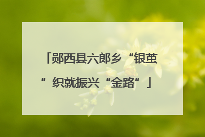 郧西县六郎乡“银茧”织就振兴“金路”