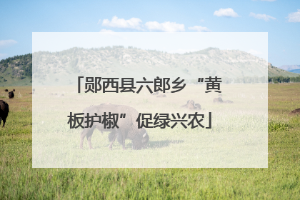 郧西县六郎乡“黄板护椒”促绿兴农