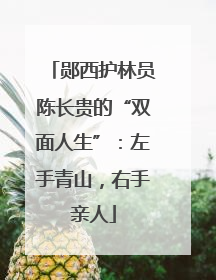 郧西护林员陈长贵的“双面人生”：左手青山，右手亲人