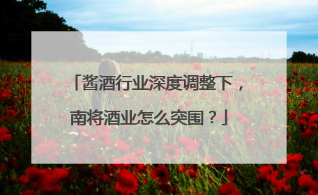 酱酒行业深度调整下，南将酒业怎么突围？