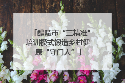 醴陵市“三精准”培训模式锻造乡村健康“守门人”