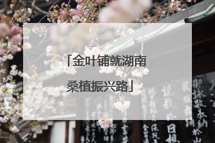 金叶铺就湖南桑植振兴路
