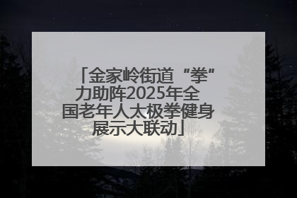 金家岭街道“拳”力助阵2025年全国老年人太极拳健身展示大联动