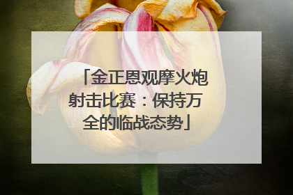 金正恩观摩火炮射击比赛：保持万全的临战态势
