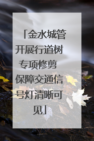 金水城管开展行道树专项修剪 保障交通信号灯清晰可见