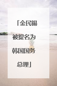 金民锡被提名为韩国国务总理