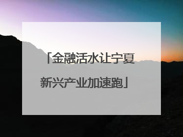 金融活水让宁夏新兴产业加速跑