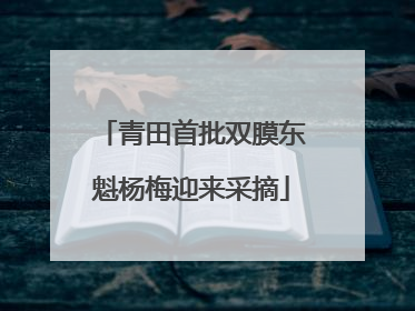 青田首批双膜东魁杨梅迎来采摘
