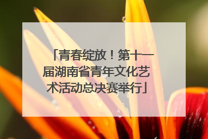 青春绽放！第十一届湖南省青年文化艺术活动总决赛举行