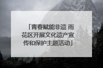 青春赋能非遗 雨花区开展文化遗产宣传和保护主题活动