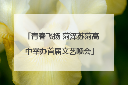 青春飞扬 菏泽苏菏高中举办首届文艺晚会