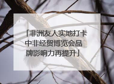 非洲友人实地打卡 中非经贸博览会品牌影响力再提升