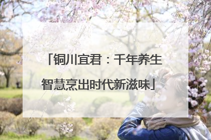 铜川宜君：千年养生智慧烹出时代新滋味