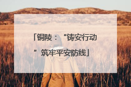 铜陵：“铸安行动”筑牢平安防线