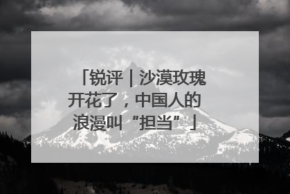 锐评｜沙漠玫瑰开花了，中国人的浪漫叫“担当”