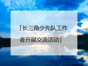 长三角少先队工作者开展交流活动
