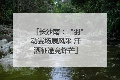 长沙南：“羽”动赛场展风采 汗洒征途竞锋芒