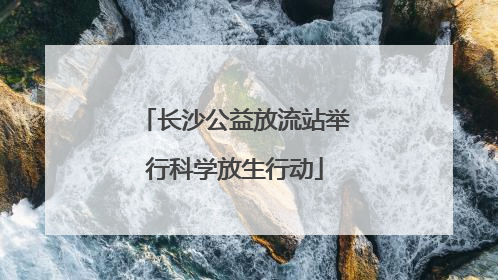 长沙公益放流站举行科学放生行动