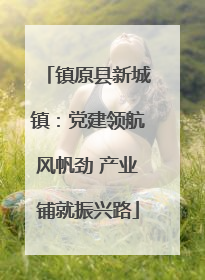 镇原县新城镇：党建领航风帆劲 产业铺就振兴路