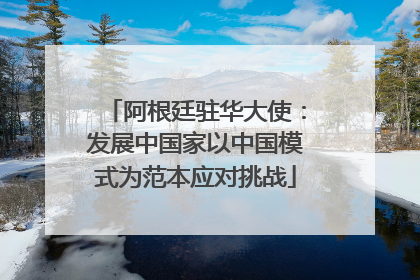 阿根廷驻华大使：发展中国家以中国模式为范本应对挑战
