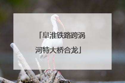 阜淮铁路跨涡河特大桥合龙