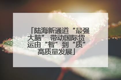 陆海新通道“最强大脑” 带动国际货运由“智”到“质”高质量发展