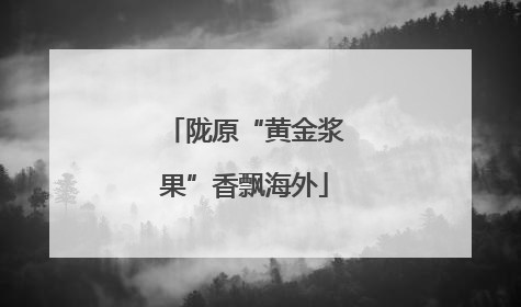 陇原“黄金浆果”香飘海外