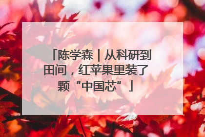 陈学森｜从科研到田间，红苹果里装了颗“中国芯”