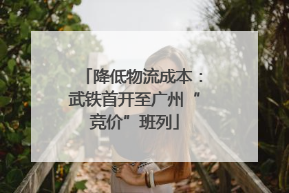 降低物流成本：武铁首开至广州“竞价”班列