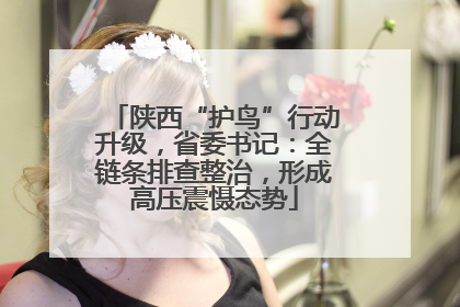 陕西“护鸟”行动升级，省委书记：全链条排查整治，形成高压震慑态势