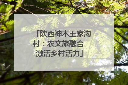 陕西神木王家沟村：农文旅融合 激活乡村活力