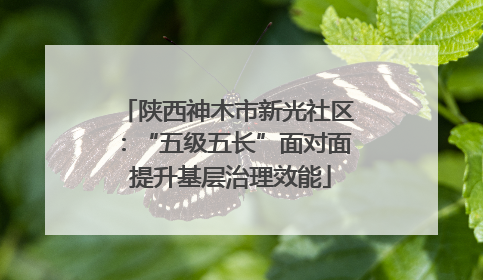 陕西神木市新光社区：“五级五长”面对面 提升基层治理效能