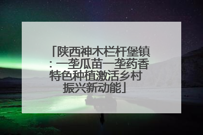 陕西神木栏杆堡镇：一垄瓜苗一垄药香 特色种植激活乡村振兴新动能