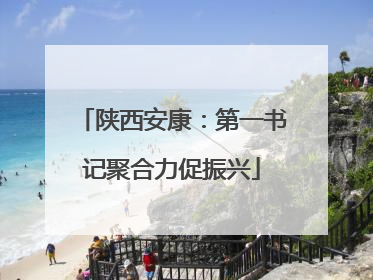 陕西安康：第一书记聚合力促振兴