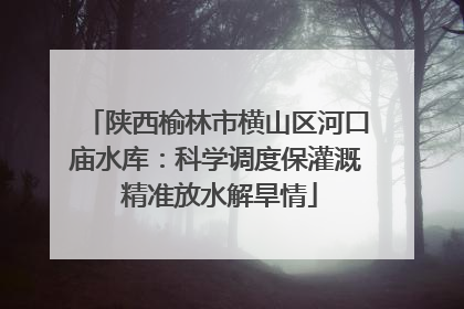 陕西榆林市横山区河口庙水库：科学调度保灌溉 精准放水解旱情