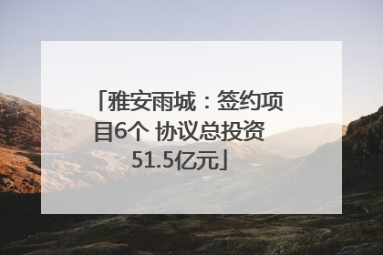 雅安雨城：签约项目6个 协议总投资51.5亿元
