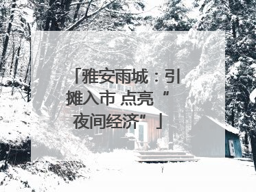 雅安雨城：引摊入市 点亮“夜间经济”