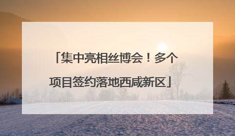 集中亮相丝博会！多个项目签约落地西咸新区