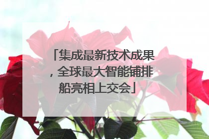 集成最新技术成果，全球最大智能铺排船亮相上交会