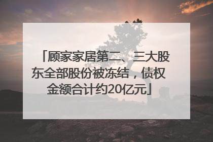 顾家家居第二、三大股东全部股份被冻结，债权金额合计约20亿元