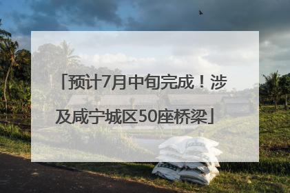 预计7月中旬完成！涉及咸宁城区50座桥梁