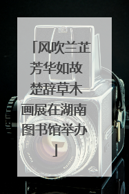 风吹兰芷 芳华如故 楚辞草木画展在湖南图书馆举办