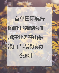 首单国际航行船舶生物燃料油加注业务在山东港口青岛港成功落地