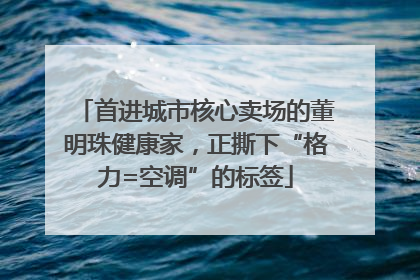首进城市核心卖场的董明珠健康家，正撕下“格力=空调”的标签