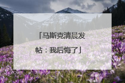 马斯克清晨发帖：我后悔了