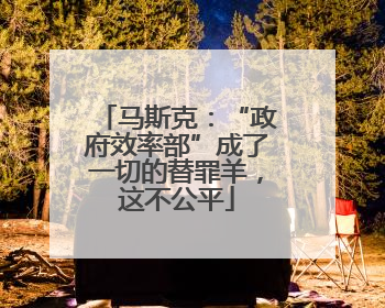 马斯克：“政府效率部”成了一切的替罪羊，这不公平