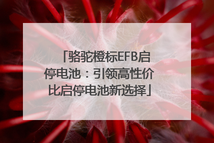骆驼橙标EFB启停电池：引领高性价比启停电池新选择
