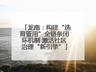 龙南：构建“选育管用”全链条闭环机制 激活社区治理“新引擎”