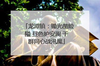 龙潭镇：锄光凿险隘 昼色护安澜 干群同心战汛魔
